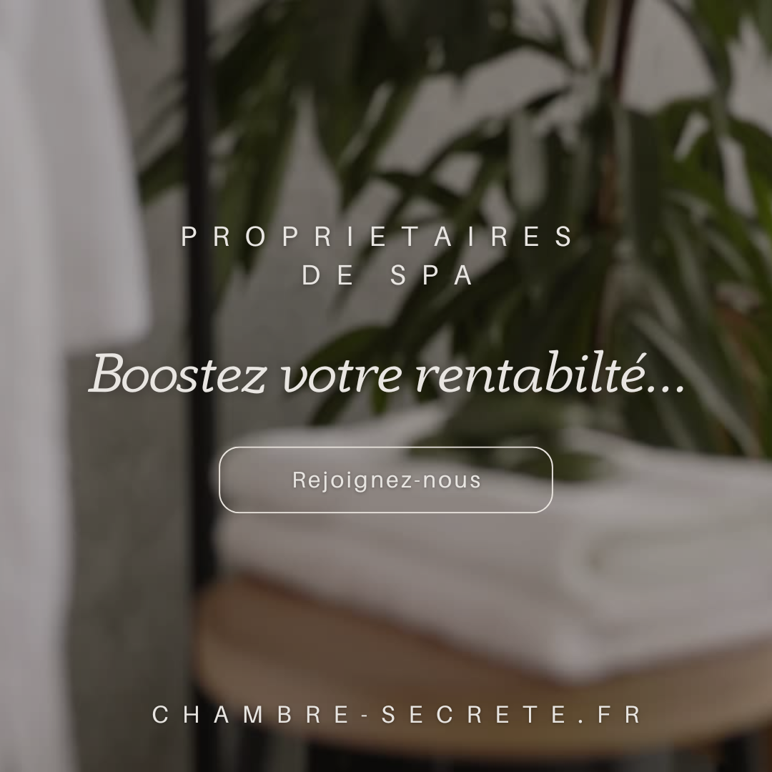 Tout savoir pour booster la rentabilité de loveroom